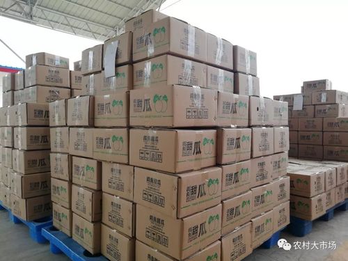 严格品控,精心包装,快速物流,细致服务,也已经成为供应链管理公司的